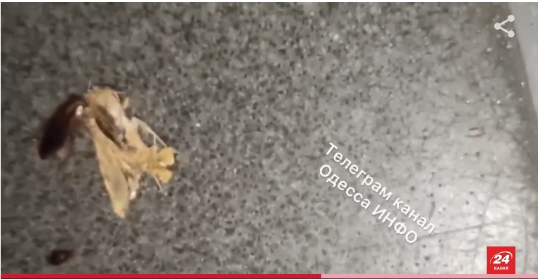 Screenshot_7