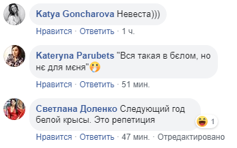 крыса