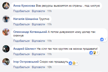 Вывозят лес