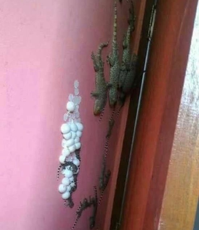 Страх3