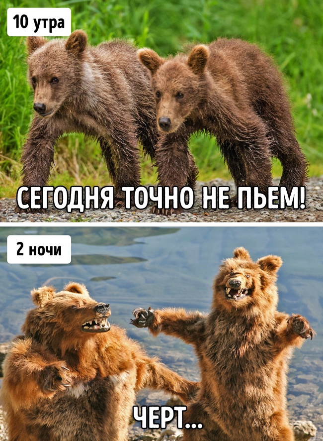 Тест на алкоголика1