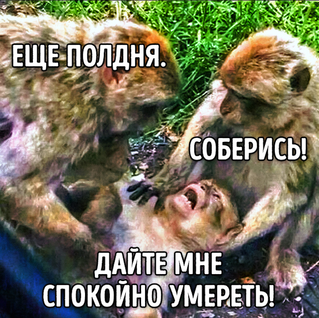 Тест на алкоголика2