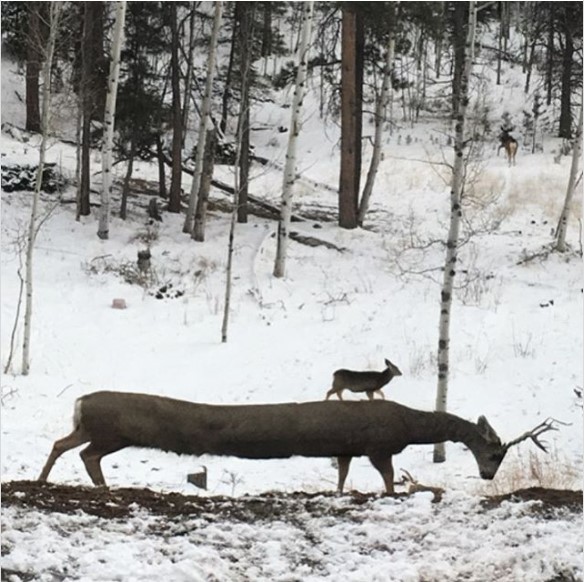 Панорама14