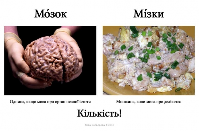 Русизми13