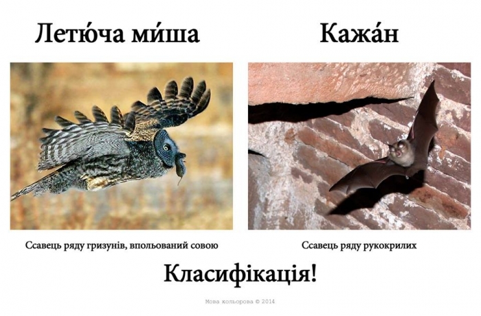 Русизми14