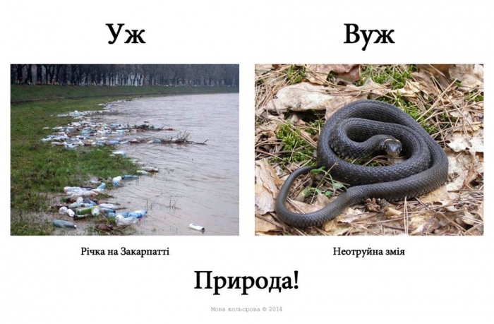 Русизми2