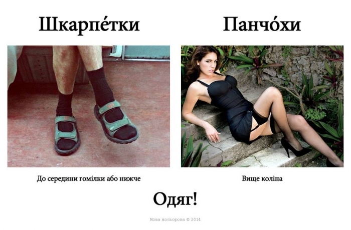 Русизми6