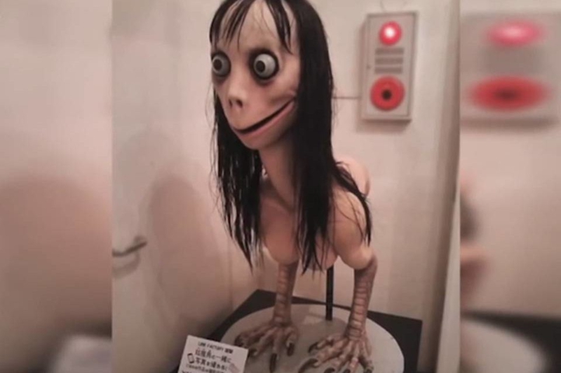 momo-1-960x640 (1)