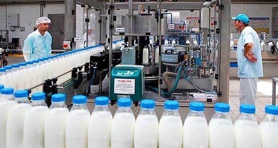 В Польше хотят порадовать живущих там украинцев новым продуктом Фото № 0 В Польше хотят порадовать живущих там украинцев новым продуктом Фото № 0