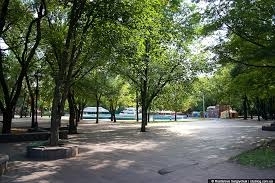 Кривой Рог утопает в зелени: на каждого горожанина отмеряно 25 квадратных метров зелени Фото № 0 Кривой Рог утопает в зелени: на каждого горожанина отмеряно 25 квадратных метров зелени Фото № 0