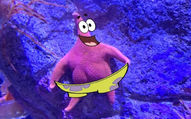 Морская звезда с Морская звезда с