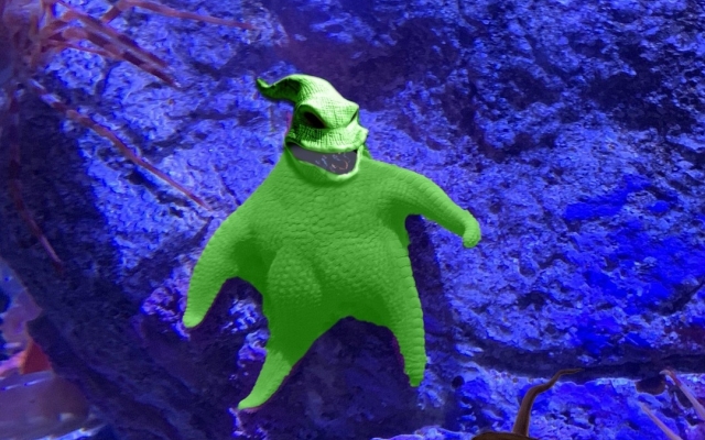 Морская звезда с Морская звезда с