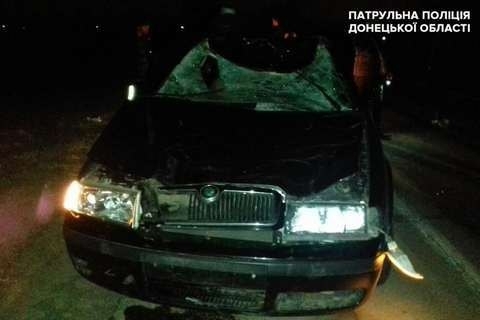 Коня сбили насмерть на трассе под Мариуполем Фото № 0 Коня сбили насмерть на трассе под Мариуполем Фото № 0