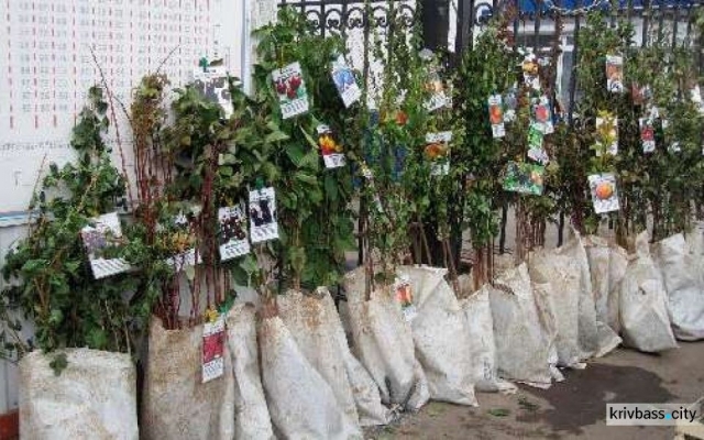 В Кривом Роге открылась выставка В Кривом Роге открылась выставка