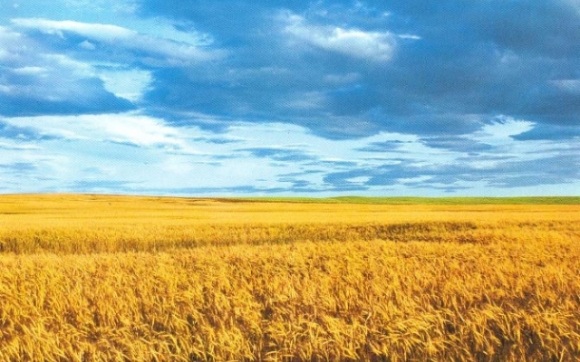 Украинцы глазами иностранцев Фото № 0 Украинцы глазами иностранцев Фото № 0