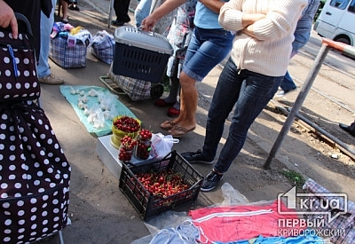 Бороться или смириться?! В Кривом Роге процветает торговля с пола Фото № 0 Бороться или смириться?! В Кривом Роге процветает торговля с пола Фото № 0