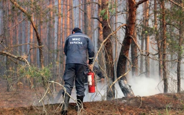 У Чорнобилі досі горить ліс Фото № 0 У Чорнобилі досі горить ліс Фото № 0
