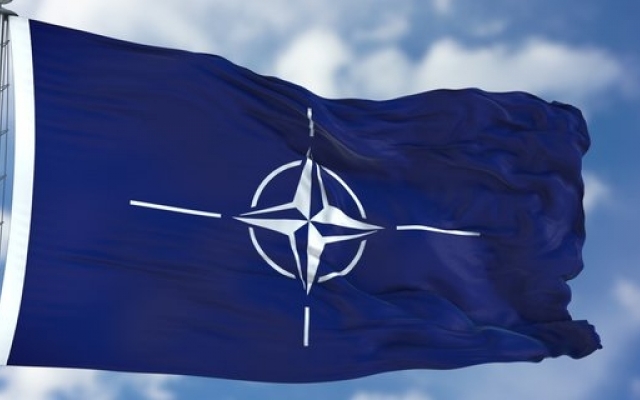 Представительство НАТО в Украине поддержало формулу Штайнмайера Фото № 0 Представительство НАТО в Украине поддержало формулу Штайнмайера Фото № 0