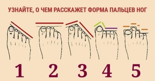 Тест выходного дня: о чем расскажет форма пальцев ног Фото № 0 Тест выходного дня: о чем расскажет форма пальцев ног Фото № 0