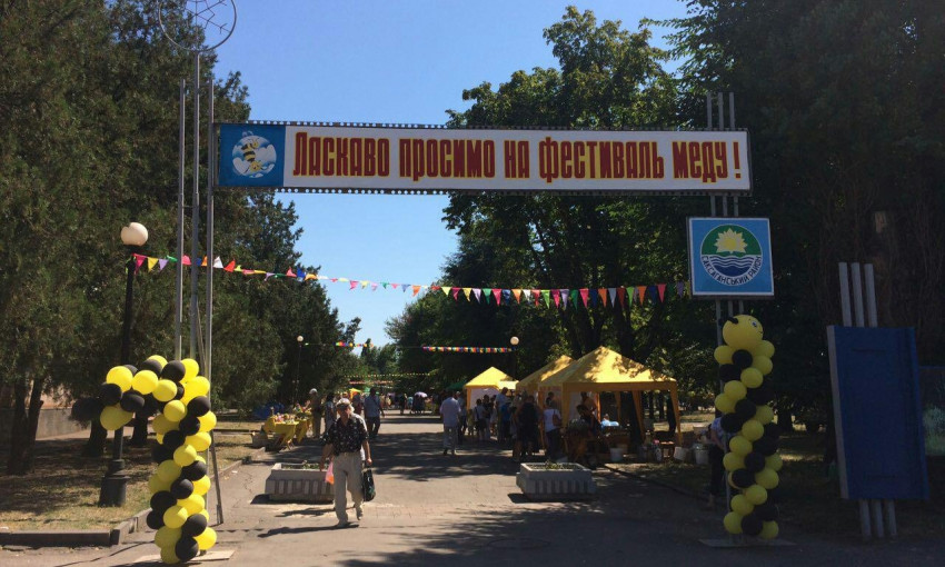 В Кривом Роге горожан угощали мёдом и показывали жизнь пчёл под стеклом