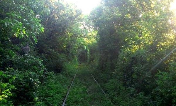 Криворожан приглашают на экскурсию в туннель любви