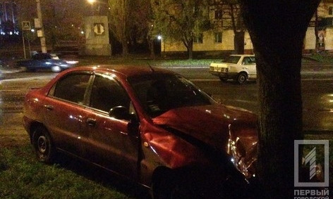 ДТП в Кривом Роге: легковушка влетела в дерево
