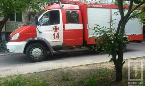 В Кривом Роге сгорел заброшенный дом