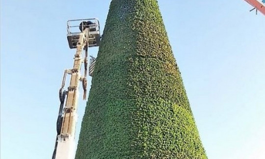 В Сети высмеяли новогоднюю елку в оккупированном Симферополе (ФОТО)