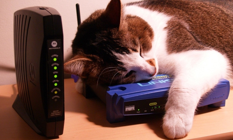 5 действенных способов улучшить дома сигнал Wi-Fi