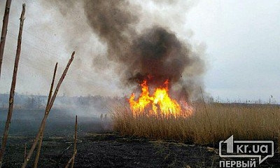 В Кривом Роге горел гектар сухостоя