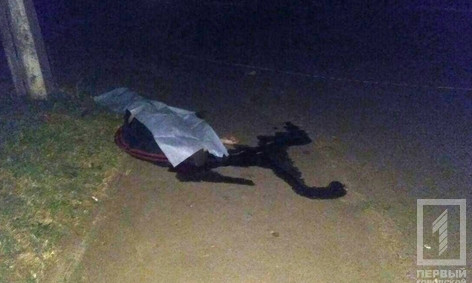 "Жестокое" убийство в Кривом Роге: парню перерезали горло (ФОТО 18+)