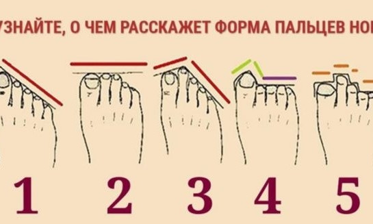 Тест выходного дня: о чем расскажет форма пальцев ног