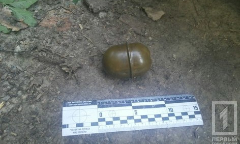 Житель Кривого Рога наткнулся на гранату