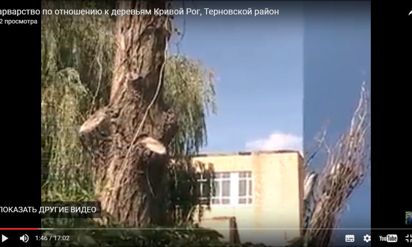"Городские службы калечат деревья...", - криворожанин (ВИДЕО)
