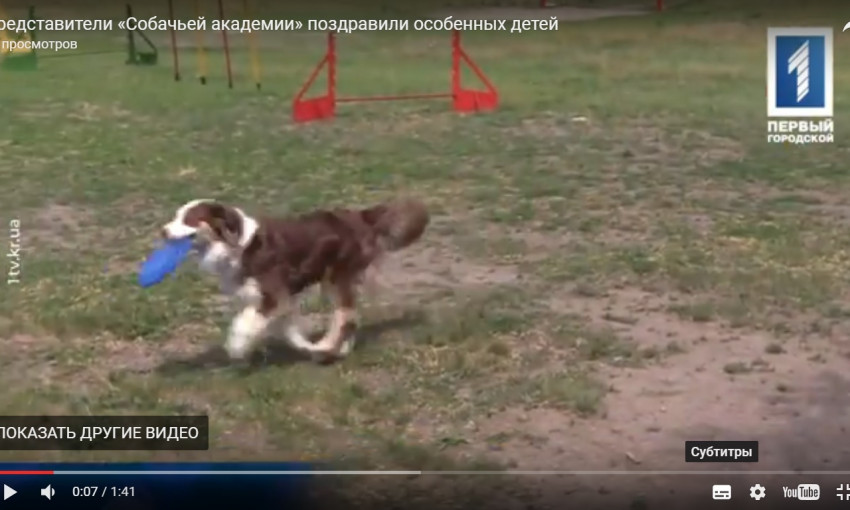 Представители "Собачьей академии" поздравили особенных детей Кривого Рога 