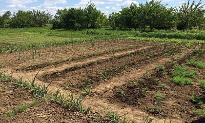 "Кривбассводоканал" разоблачил нелегальных пользователей водой