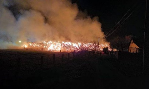 Ради видео в "ТикТоке" российские школьницы сожгли ферму