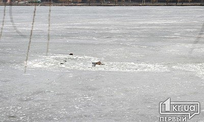 В Кривом Роге подо льдом оказались четыре рыбака