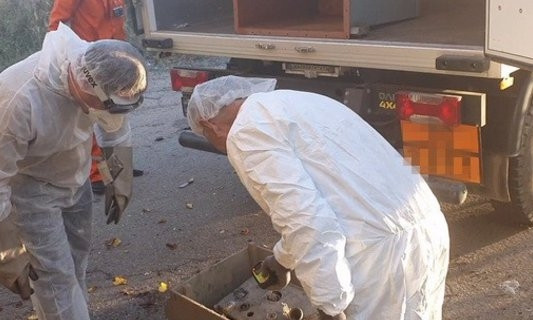 В 500 раз выше нормы. Стало известно, откуда под Одессой радиация