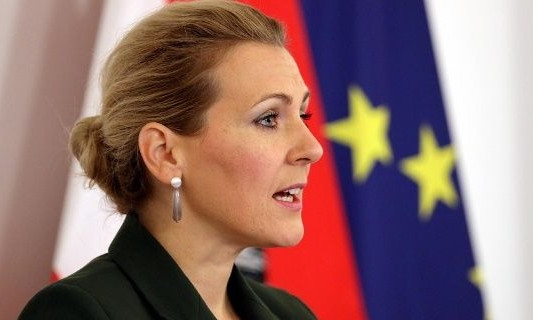 В Австрии министр труда подала в отставку из-за обвинений в плагиате при написании диссертации