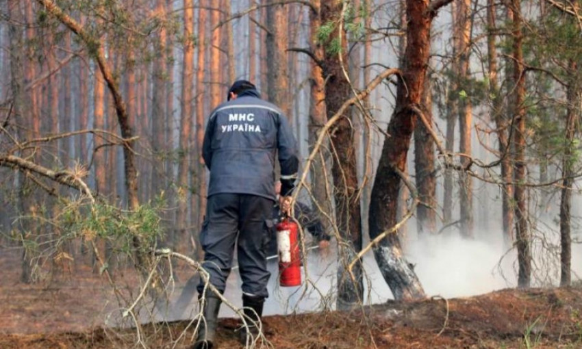 У Чорнобилі досі горить ліс