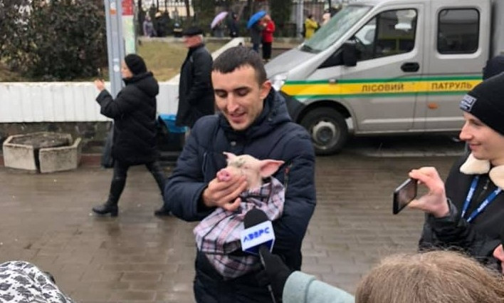 Свиней - на изготовку: как жители Луцка ожидали президента (ФОТО)