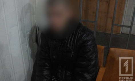 В Кривом Роге двое мужчин пытались обокрасть квартиру