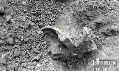В селе под Кривым Рогом нашли снаряд времен второй мировой