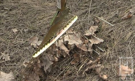 День окружающей среды в Кривом Роге: всех приглашают на субботник