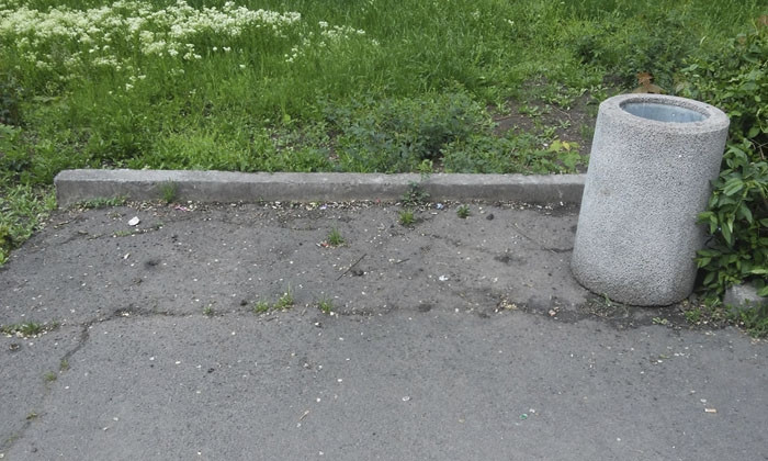 Неизвестные украли из парка скамейку