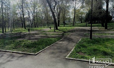В Кривом Роге воруют лавки