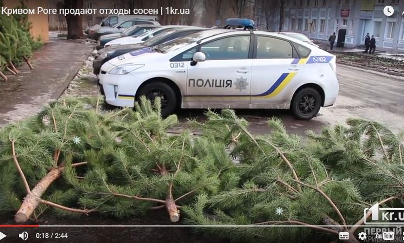Криворожанам предлагают отходы сосны?