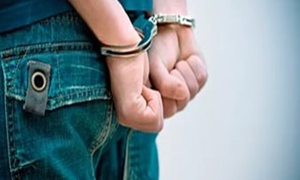 Криворожские патрульные задержали воров из Кировоградщины