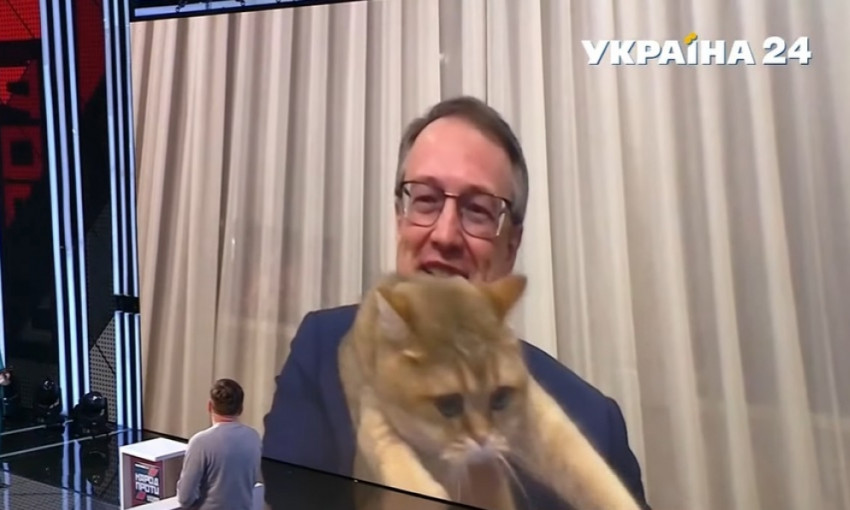 Курьез: кот Антона Геращенко закрыл его хвостом в прямом эфире (ВИДЕО)